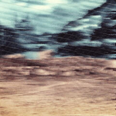 toselli #2